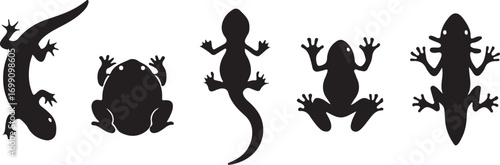 Black Silhouette Icons of Lizards and Frogs in Various Poses on a White Background vector illustration