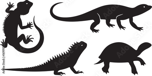 Silhouettes of four different reptiles including lizards and tortoise Keywords: lizard, tortoise, iguana, reptile, silhouette, animal, wildlife, nature, creature, graphic, design, vector