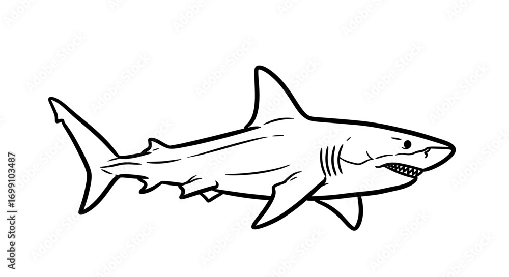 Naklejka premium Striking Great White Shark Illustration, Ready for Coloring Pages