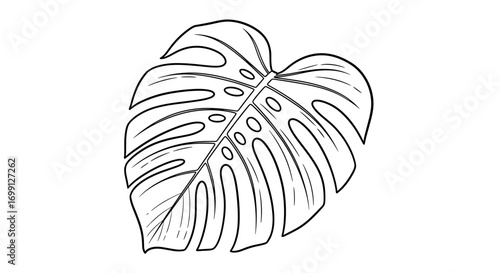 Monstera Leaf Black and White Outlined Illustration for Coloring Book
