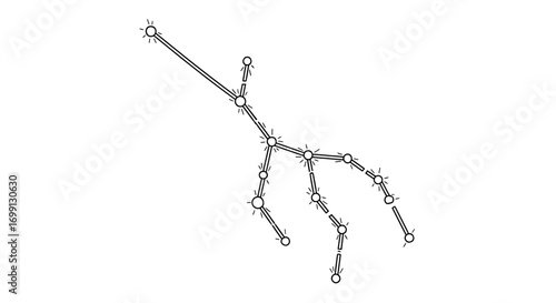 Stylized Vector Illustration of Constellation Silhouette on Isolated White Background