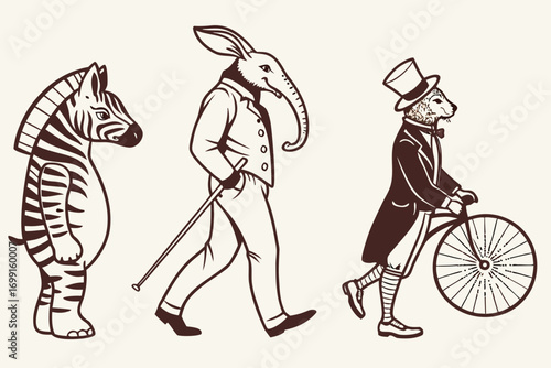 Zebra elephant and cat in vintage clothing walking and riding bicycle anthropomorphic