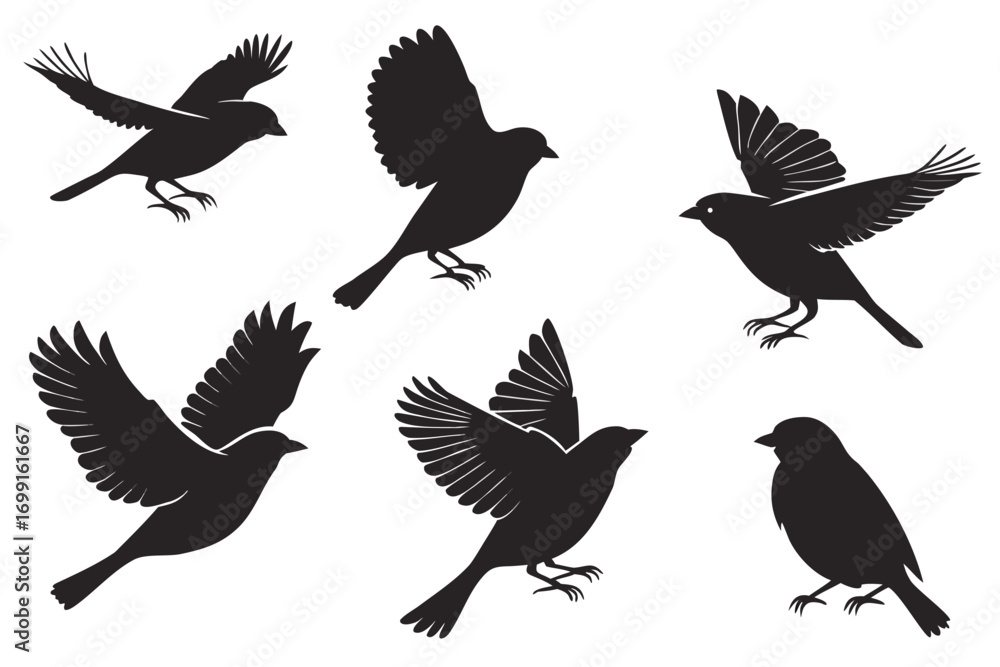Fototapeta premium Six black bird silhouettes in various flying and perched poses vector