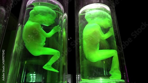 Alien babies on display in jars 4k