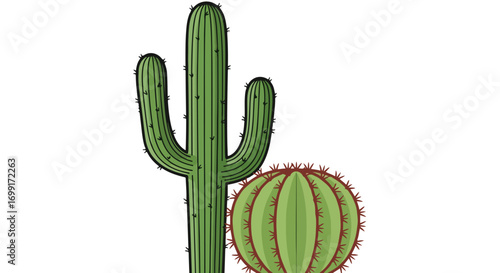 Vibrant cactus illustration showcasing desert flora, tall green saguaro and barrel cactus against a stark white backdrop providing visual contrast