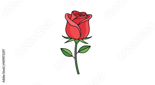 Elegant red rose illustration on a clean white background for design projects requiring floral imagery and artistic simplicity