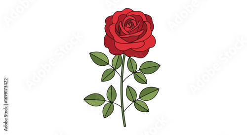 Crimson rose illustration with green foliage on a pristine white background evoking simple beauty and romantic symbolism for design projects