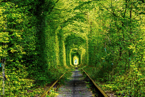 a railway in the spring forest. Tunnel of Love, green trees and the railroad
