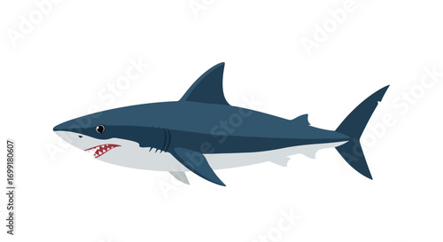 Stylized illustration of a great white shark swimming in the ocean cartoon representation design for children or ocean wildlife education with