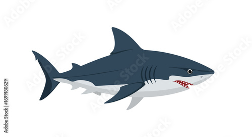 Illustrated ocean predator, the great white shark, swimming gracefully against a clean white backdrop revealing menacing teeth