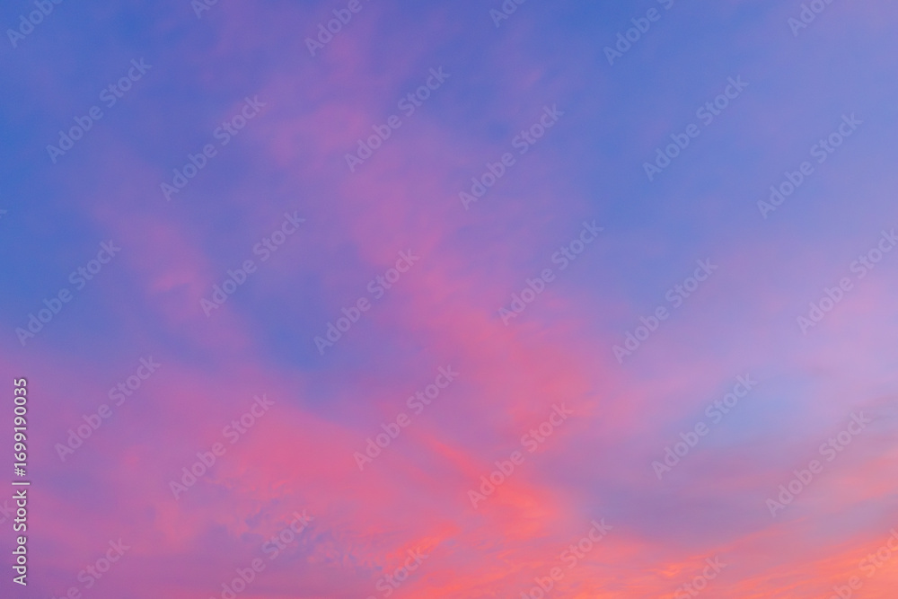 Fototapeta premium 真夏の夕焼け