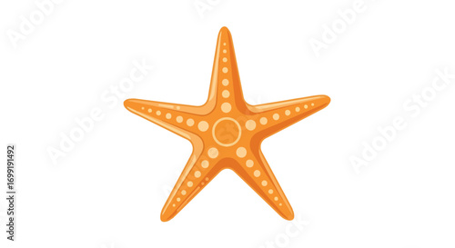 Isolated orange starfish vector illustration with radial symmetry against a white background design for nautical or marine themed projects