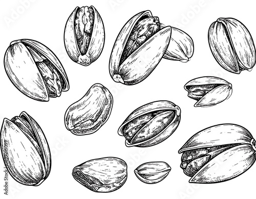 Hand-drawn illustration of pistachios (1)