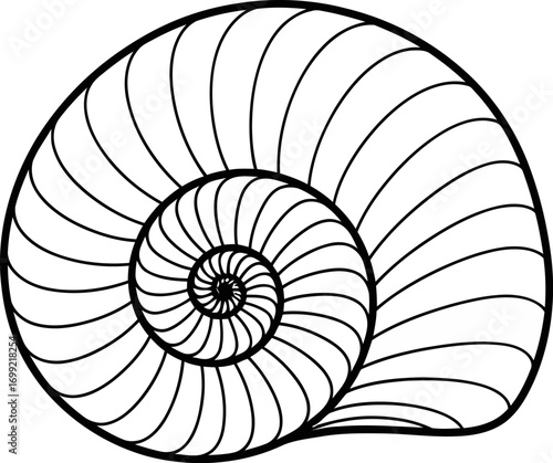 A black and white line art illustration of a spiral nautilus shell showing its internal chambered structure.