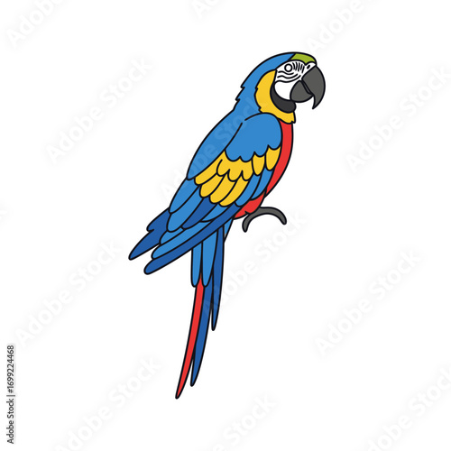 Vibrant blue-and-gold macaw perched, detailed illustration.