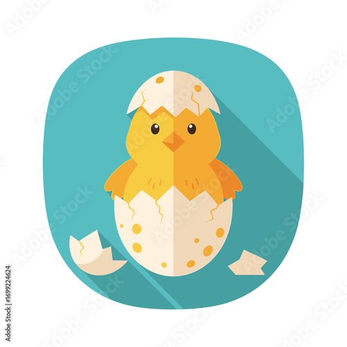 Illustration of a yellow chick hatching from a cracked egg, set against a teal rounded square background.