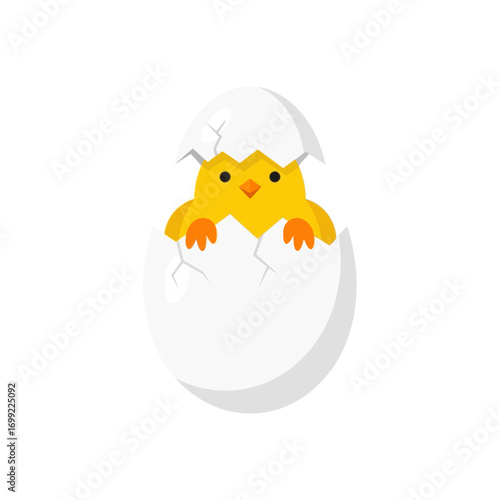 A small, yellow chick emerging from a cracked, white eggshell against a plain background.