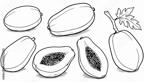 A collection of papaya illustrations in black and white, including whole fruits, cut halves with seeds, and one with a stem and leaf.