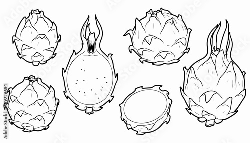 Black and white line art illustration of whole and sliced dragon fruit in various orientations.