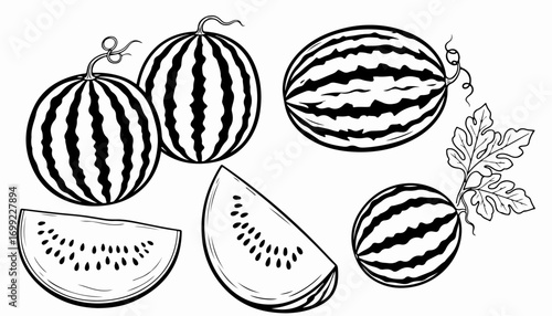 Black and white illustration of whole and sliced watermelons with leaves and vines, presented in a simple, graphic style.
