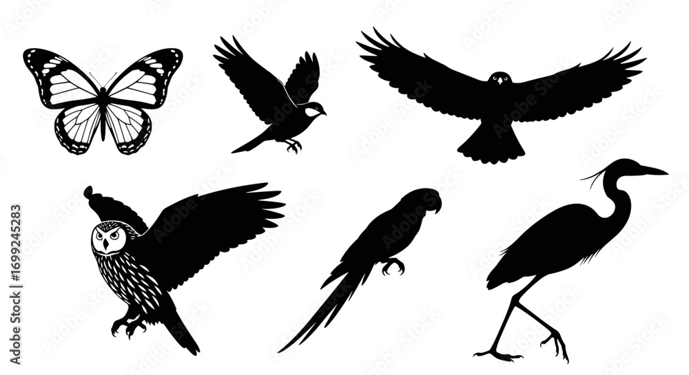 Fototapeta premium Silhouette vector art of birds butterfly owl parrot heron and other fauna
