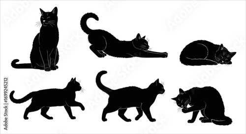 Silhouette black cat vector art poses collection domestic feline pet art