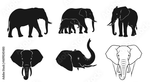 Elephant silhouette vector art bundle african wildlife animal design set