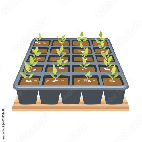 Seedlings Growing in Seed Tray for Smart Farming.