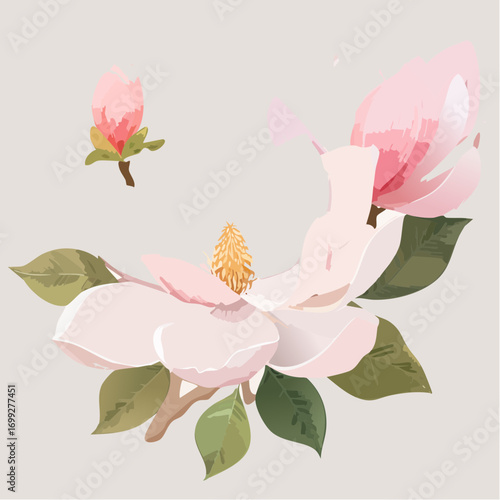 Pastell-Magnolien