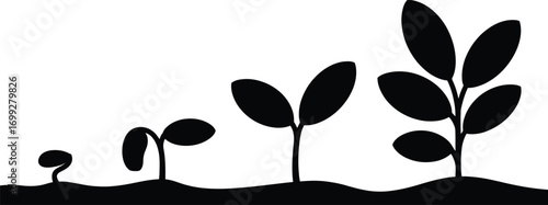Stages of plant growth from seedling to mature plant silhouette