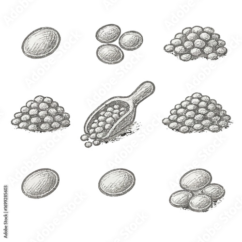 Chalk sketched nuts and seeds collection on gradient background