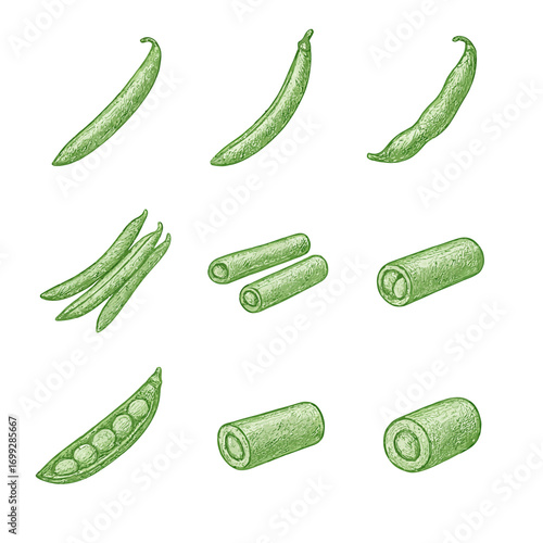 Hand-drawn green vegetables on gradient background: peas and pods