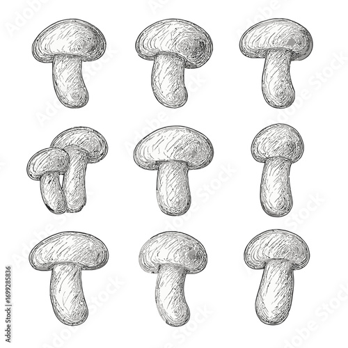 Sketch style mushroom pattern on grayscale background for nature-themed designs