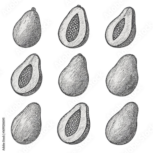 Hand-drawn avocado pattern with whole and halved fruits on grey background