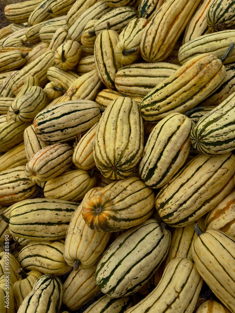 Fototapeta premium close up of pumpkin seeds