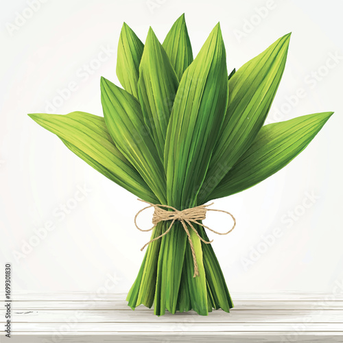 Freshly harvested bundle of vibrant green pandan leaves tied with twine