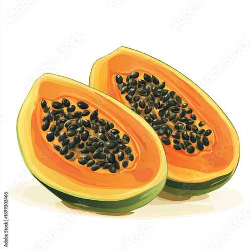  Halved Papaya Fruit Illustration with Seeds and Orange Flesh.