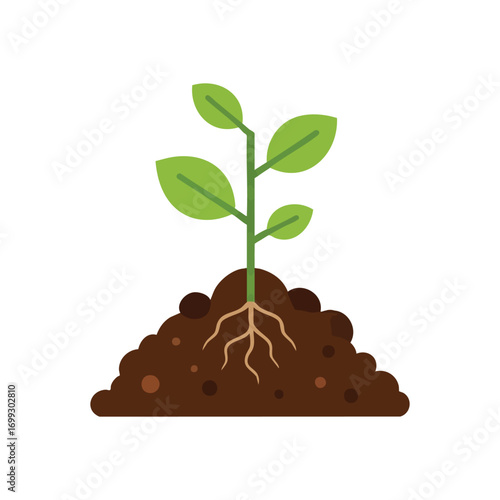 Young Green Plant Growth. A vibrant sapling emerges from fertile earth, its roots firmly established. This emblem symbolizes fresh starts, ecological awareness, and natural evolution.