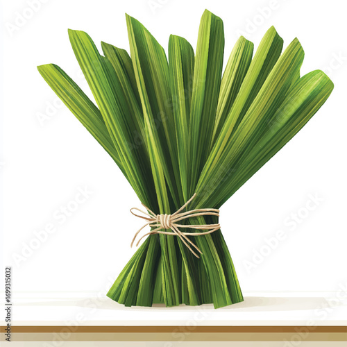 Fresh Pandan Leaves Bundles Ready for Cooking