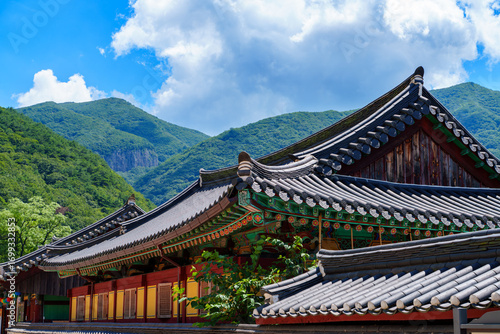 Wallpaper Mural An early summer scene showing the tiled roof of Pyochungsa Temple, an old cultural heritage site in Miryang, Korea. Torontodigital.ca