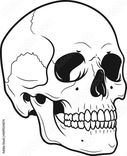 The foreground features a detailed pixel art rendering of a human skull, viewed from a three-quarter perspective, showcasing the anatomical features of the cranium, mandible, and teeth.