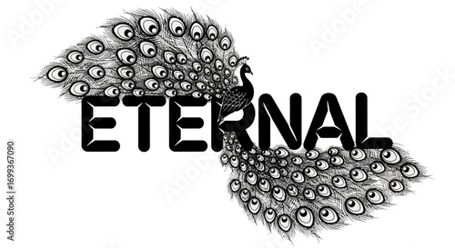 Elegant peacock bird spreading feathers over eternal text