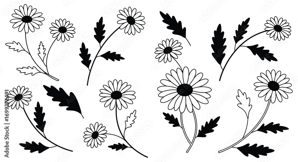 Fototapeta premium simple black and white floral design with daisies leaves