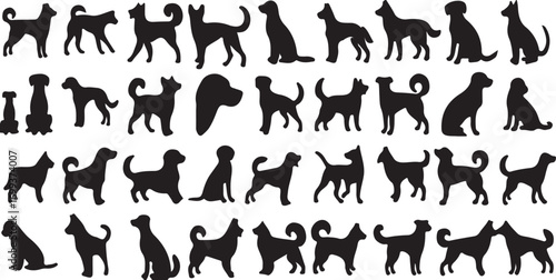 dog, silhouette, canine, pet, animal, puppy, breed, domestic, companion, friendly, loyal, playful, sitting, standing, running, walking, barking, wagging tail, various breeds, poodle, labrador, bulldog