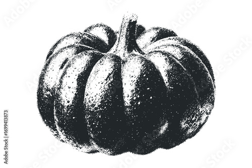 Stippled Pumpkin on Transparent. Vector hand drawn illustration