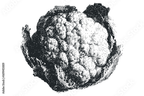 Halftone pixelated cauliflower on transparent background. Vector hand drawn illustration