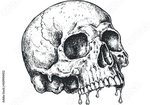Dripping Human Skull Grunge Style Image. Vector hand drawn illustration