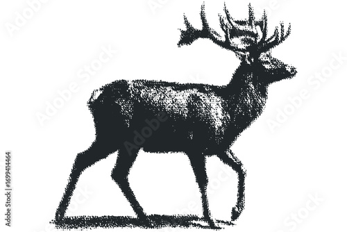 Stag with Large Antlers Walking on Transparent. Vector hand drawn illustration