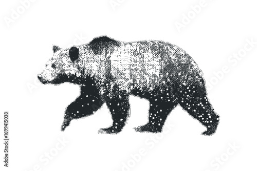 Posed walking grizzly bear silhouette with halftone dot texture. Vector hand drawn illustration