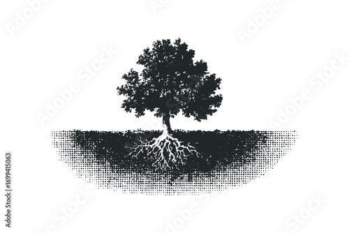 Silhouette of a tree with visible roots and textured earth on a transparent background. Vector hand drawn illustration